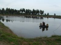 pond1